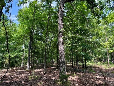 Private Lake-Access Land Tract