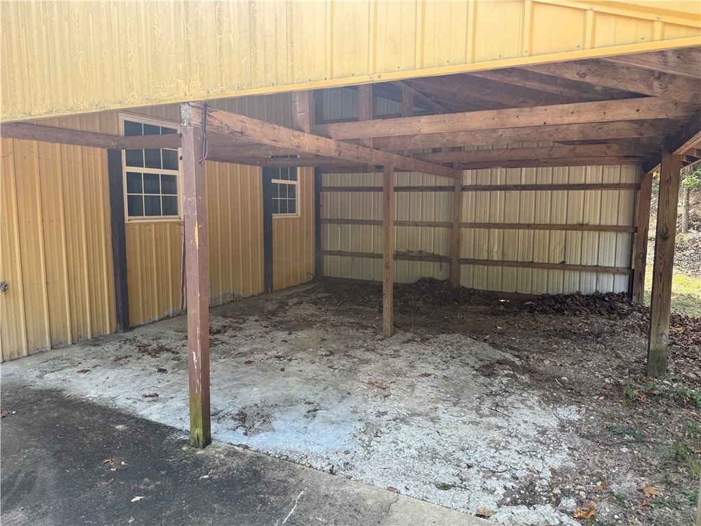 Picture 11