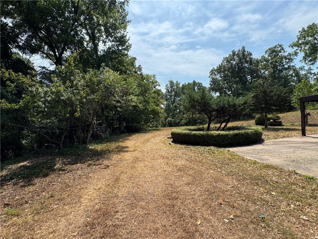 Picture 16