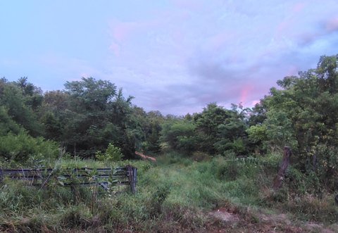 LAND - Preston, MO