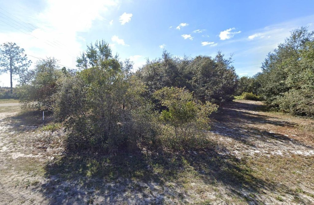 Picture 2