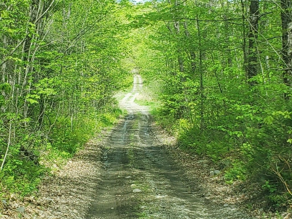 Picture 29