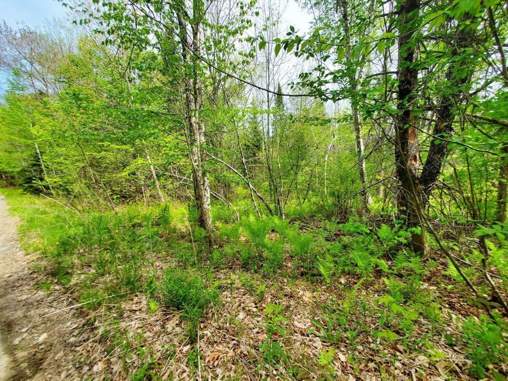 Picture 19