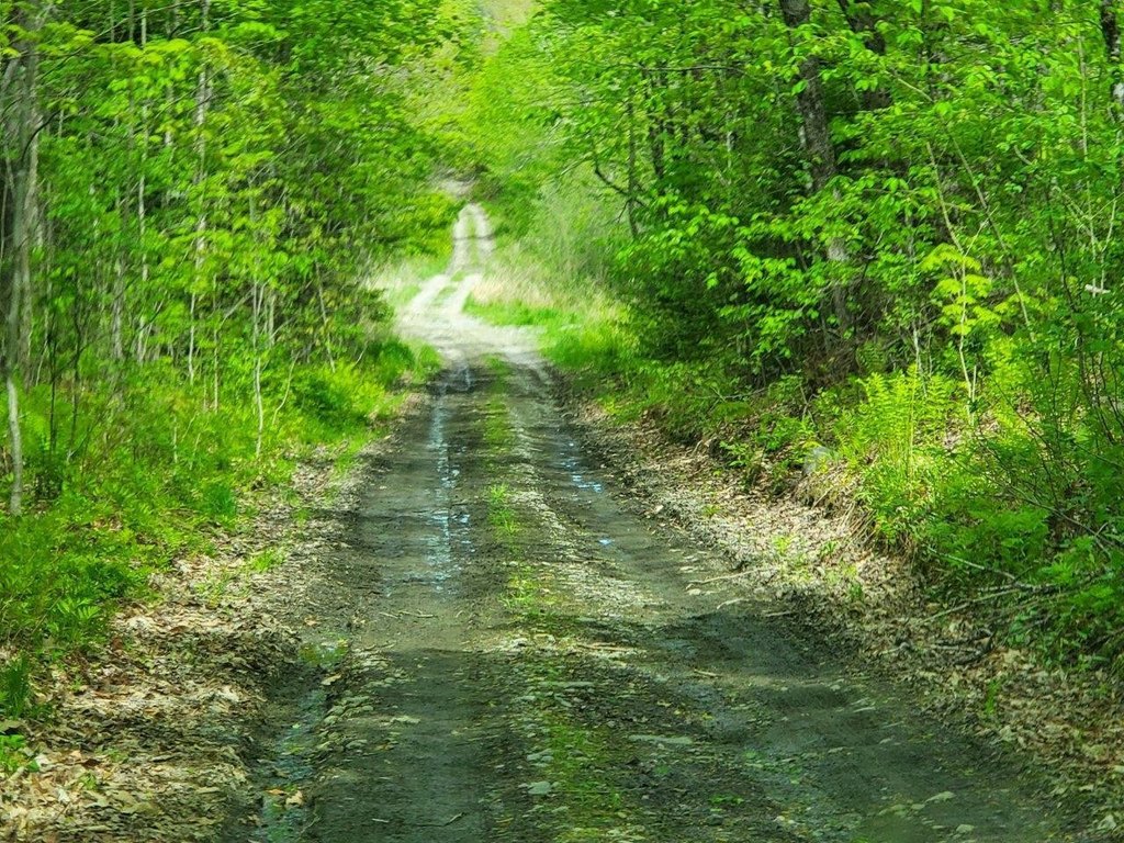 Picture 30