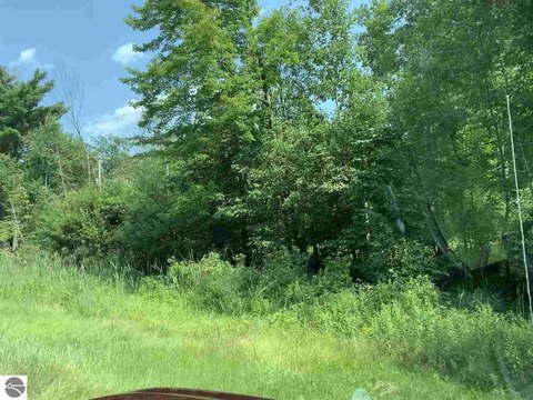Wooded Land Near Northport Marina