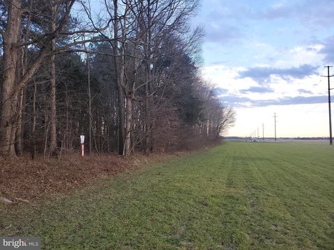 Residential Land in Hurlock, MD