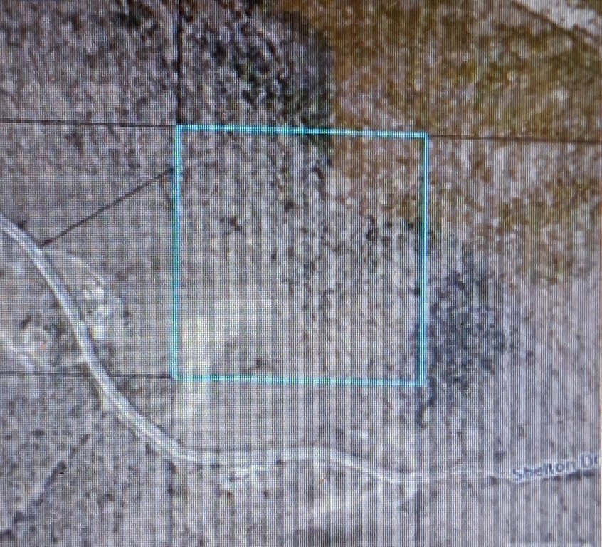 Picture 2