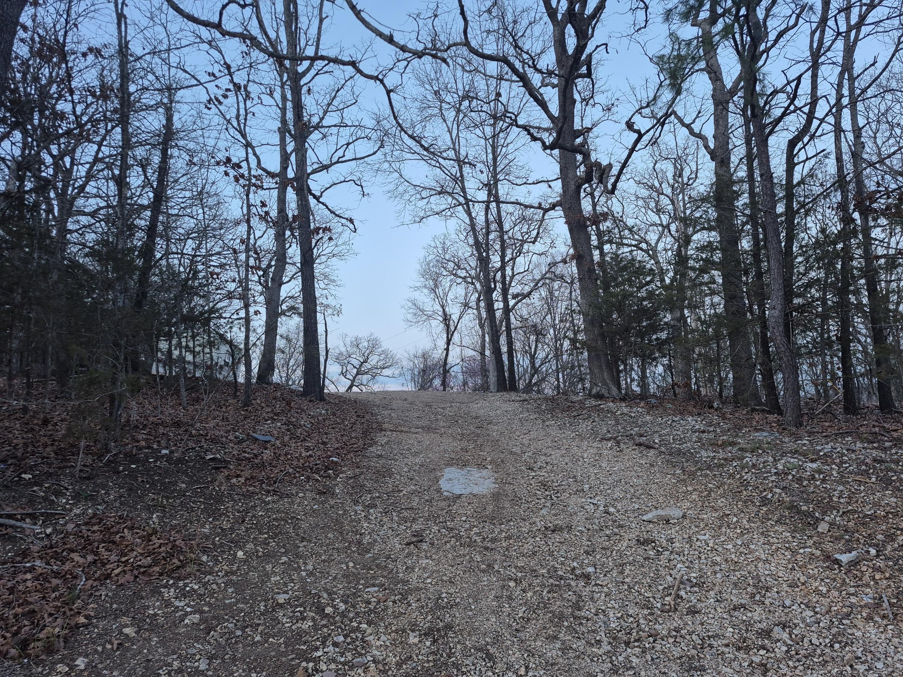 Ozark Land Near Branson