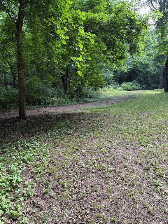 Picture 13