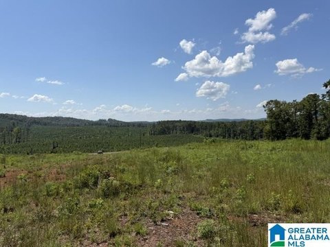 LAND/LOTS, VINCENT, AL