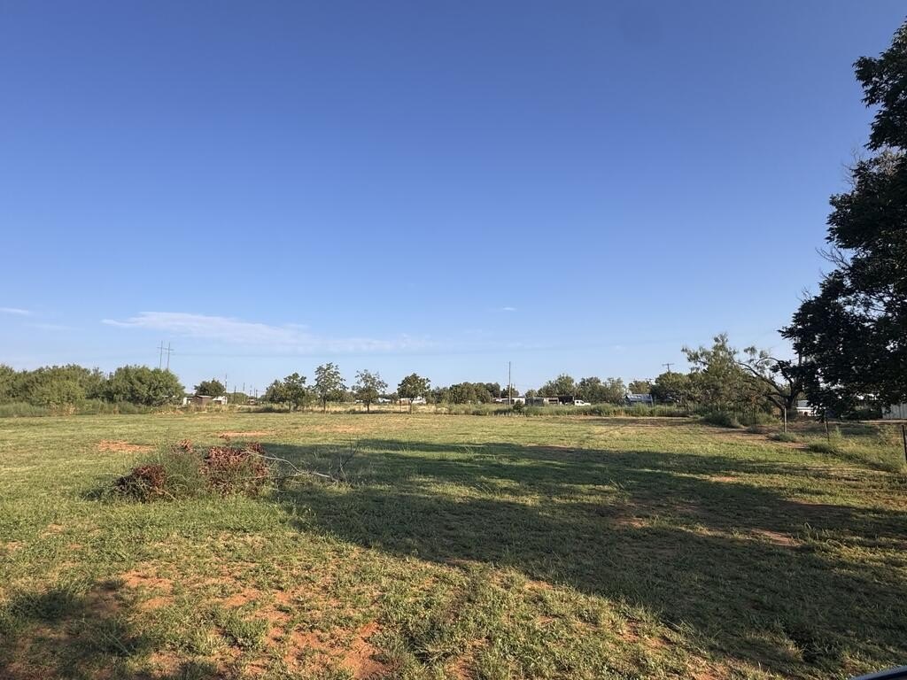 Picture 15