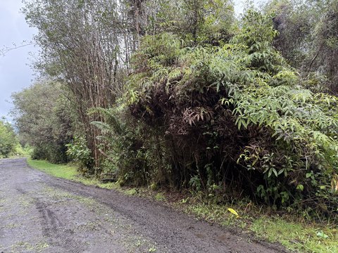 Land in Mountain View, HI