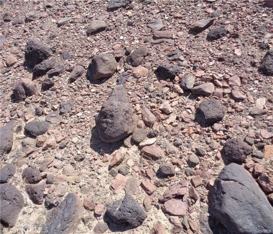 Picture 7