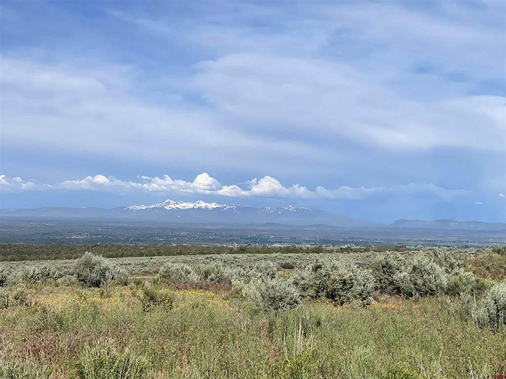 Land For Sale, Cortez