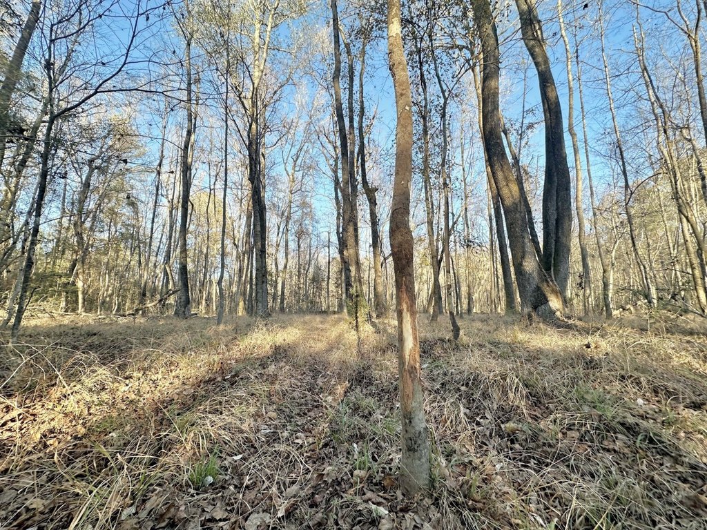 Picture 8