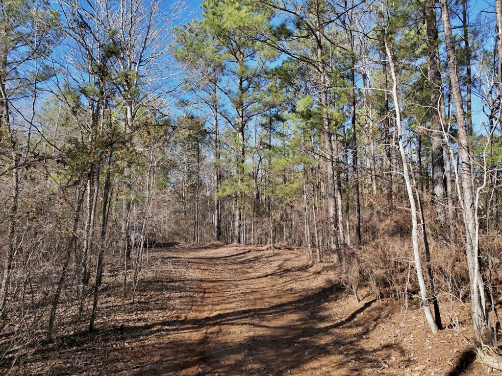 Picture 6