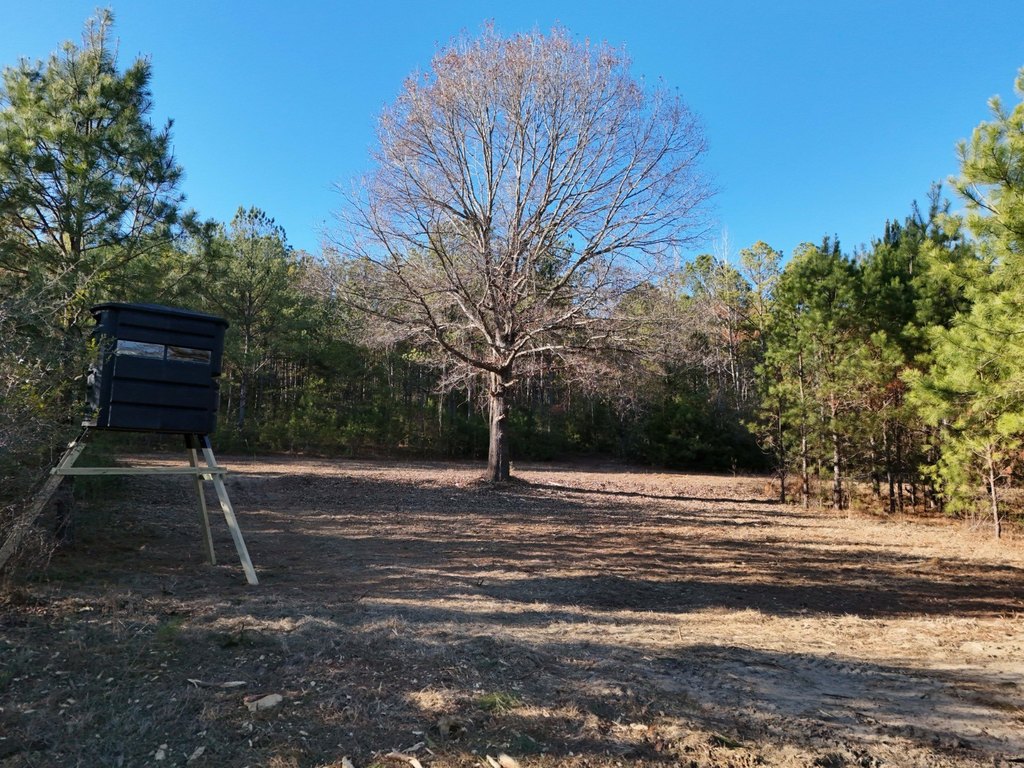 Picture 15