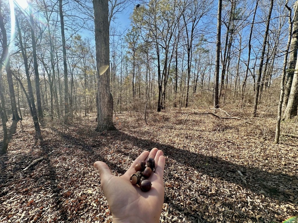 Picture 21