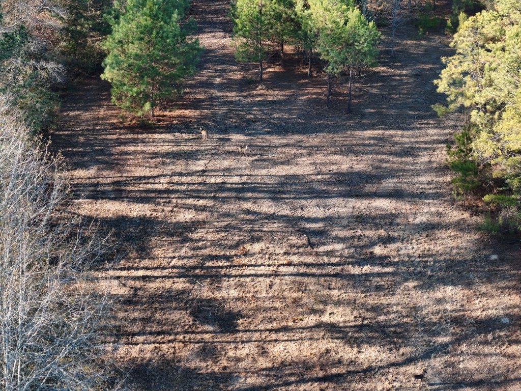 Picture 16