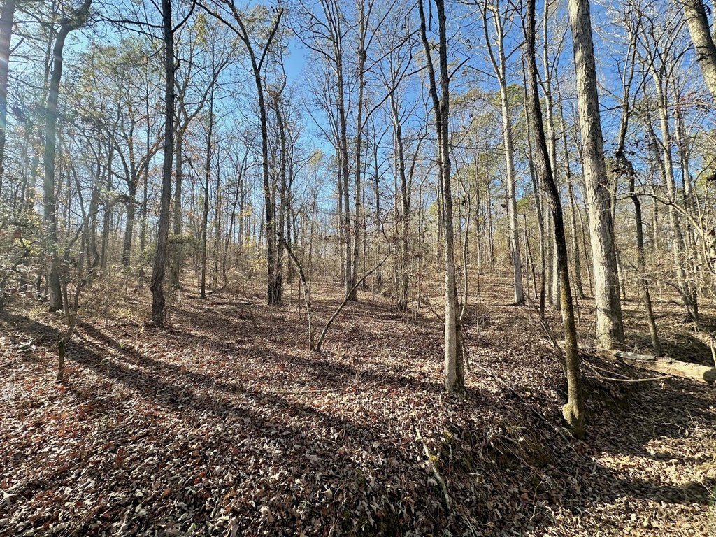 Picture 3