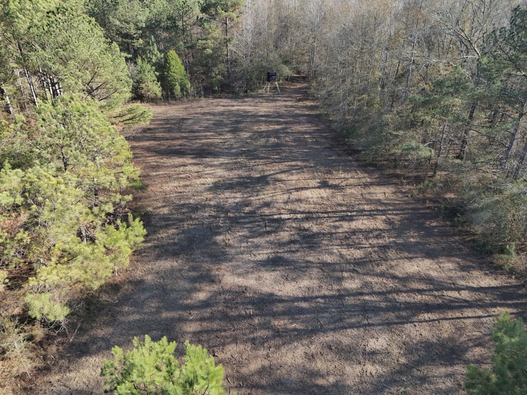 Picture 7