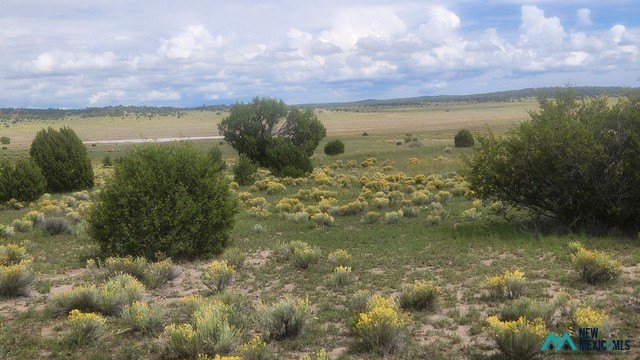Picture 13