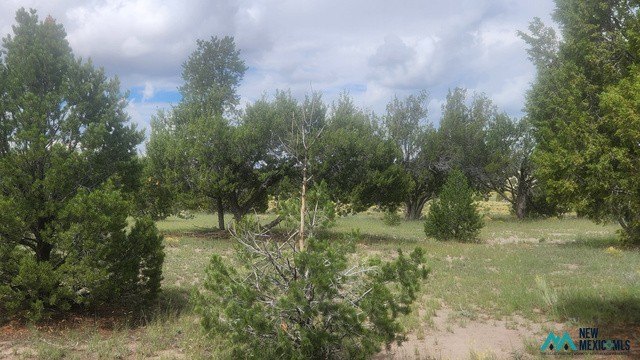 Picture 12