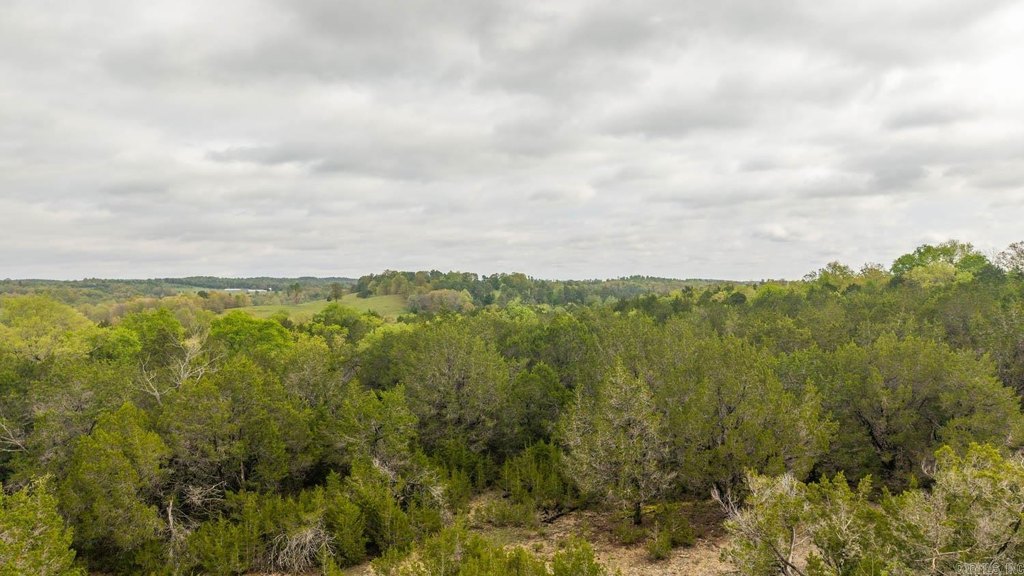 Picture 20