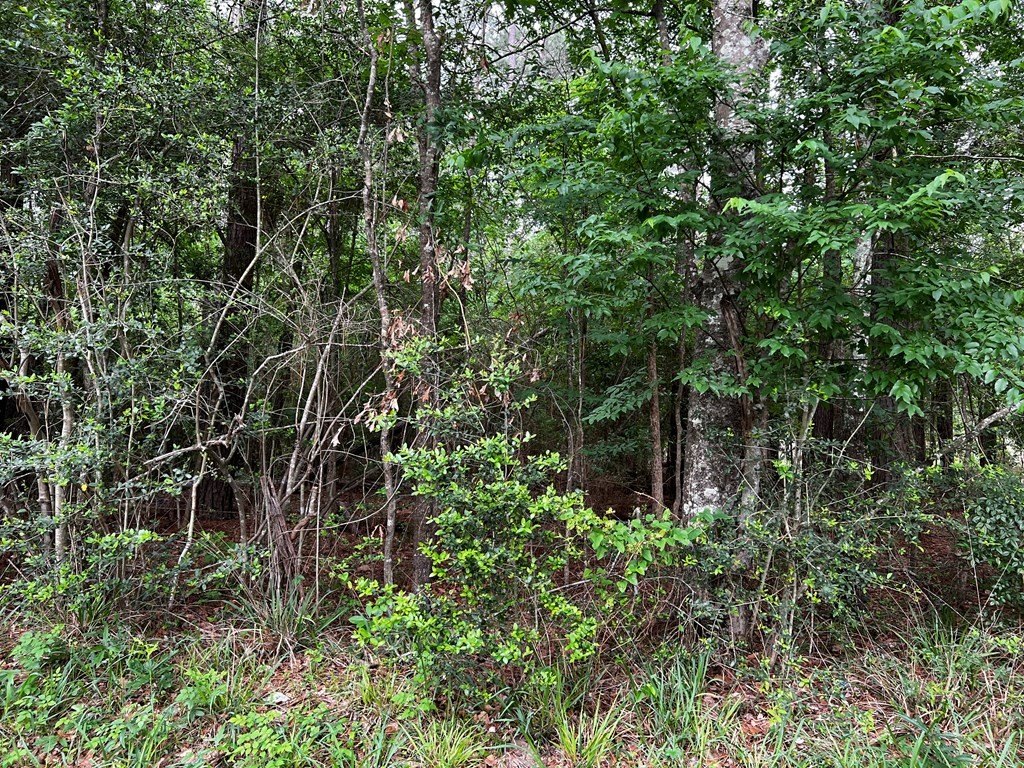 Picture 4