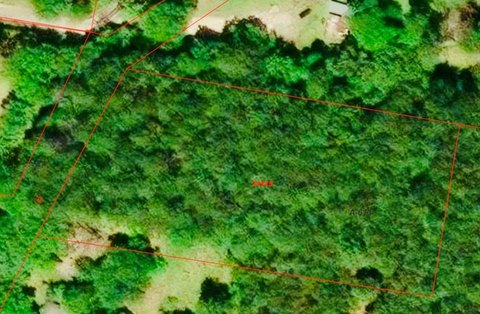 Lufkin Wooded Corner Lot