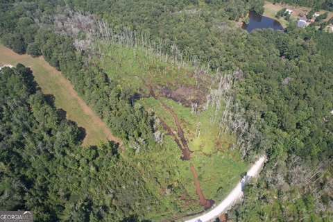 46.19 Acres in North Pike County