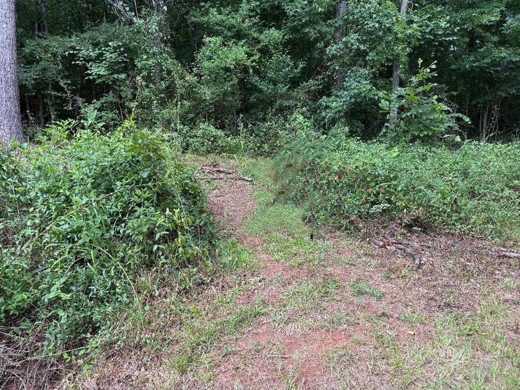 Picture 2