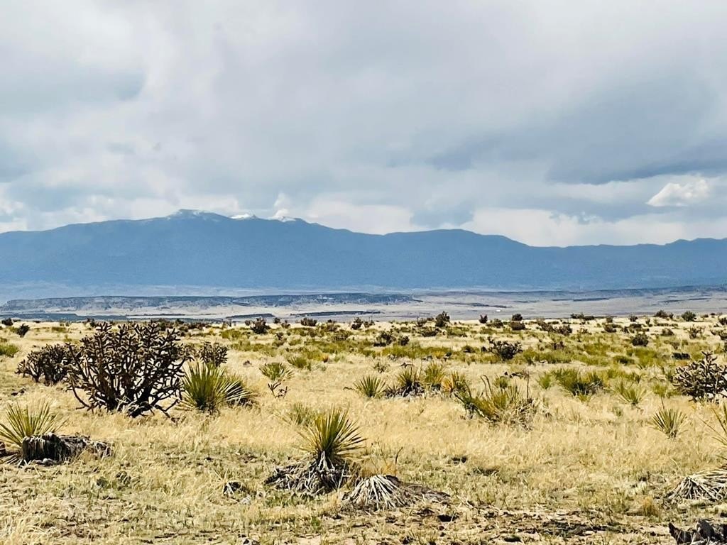 Land with Mountain Views