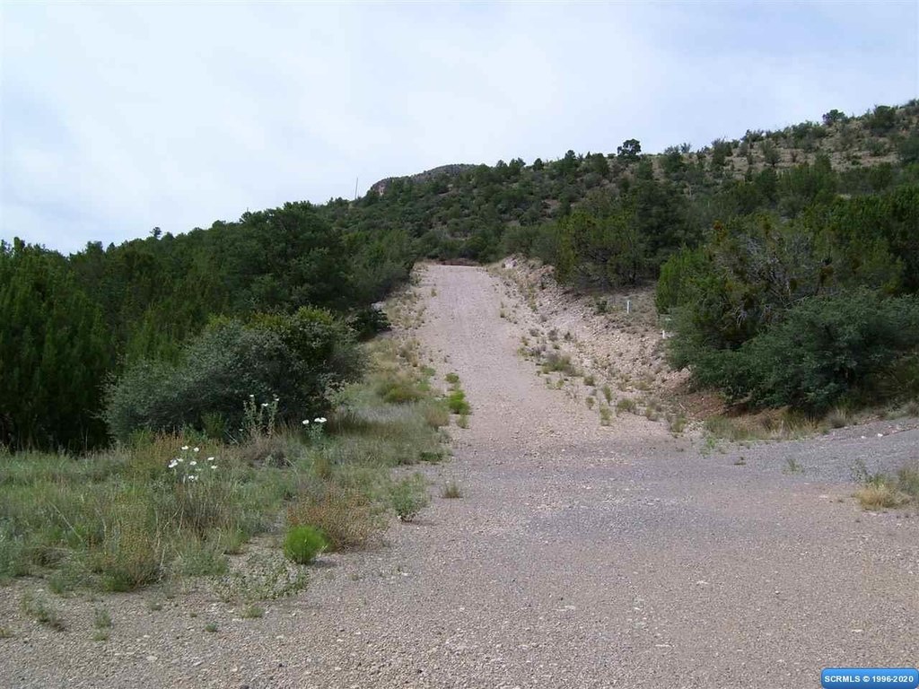 Picture 4