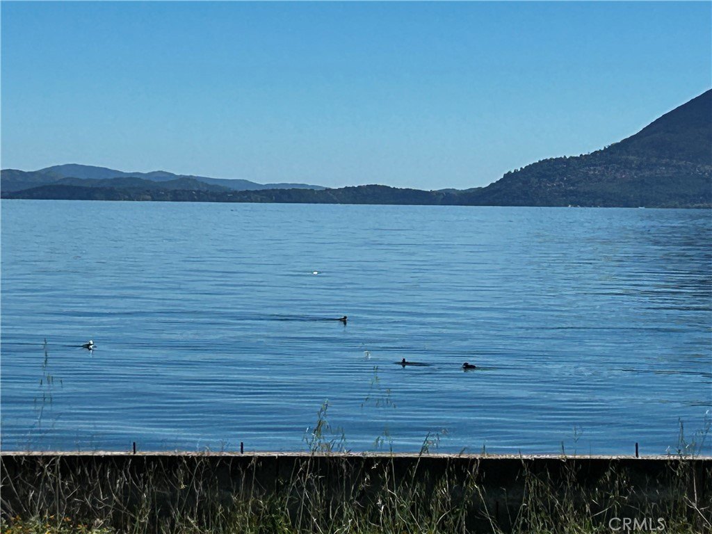 Picture 8