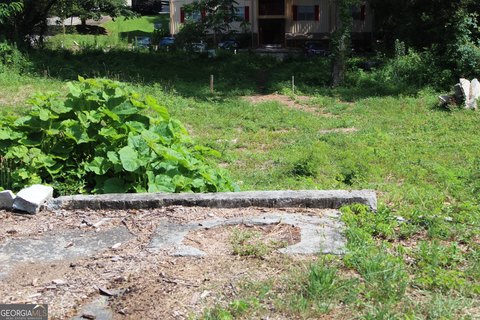 Commercial Land in Stone Mountain