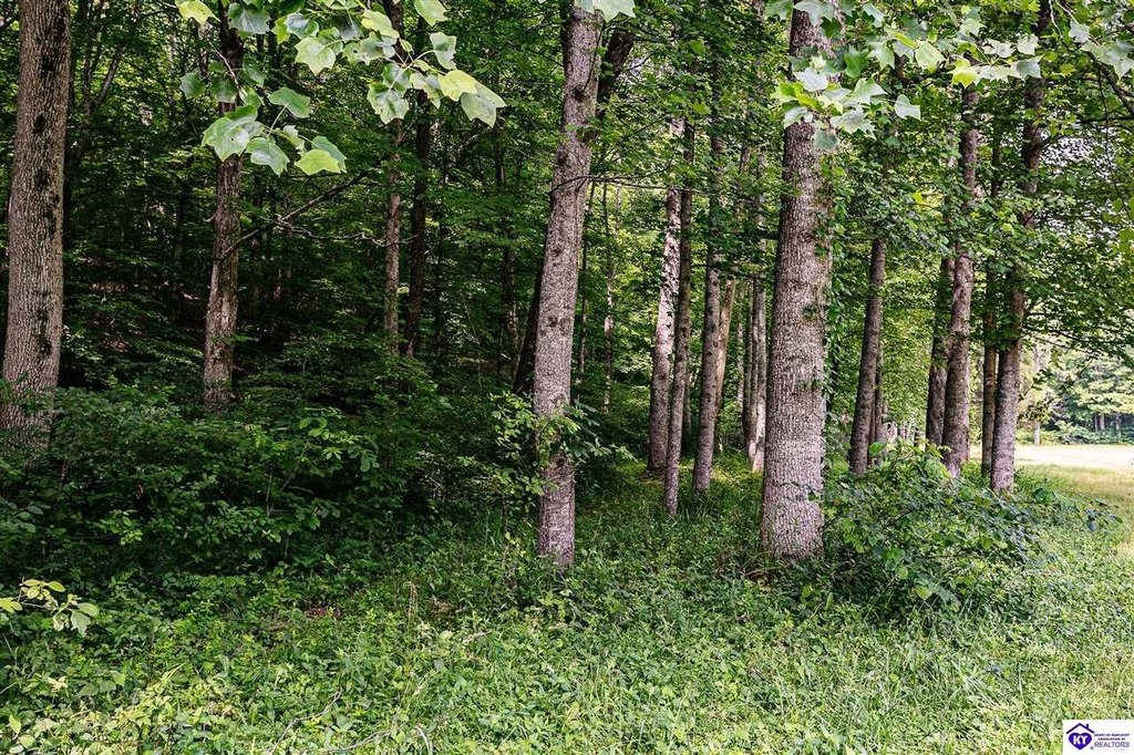 Picture 27