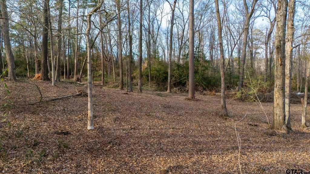 Picture 22