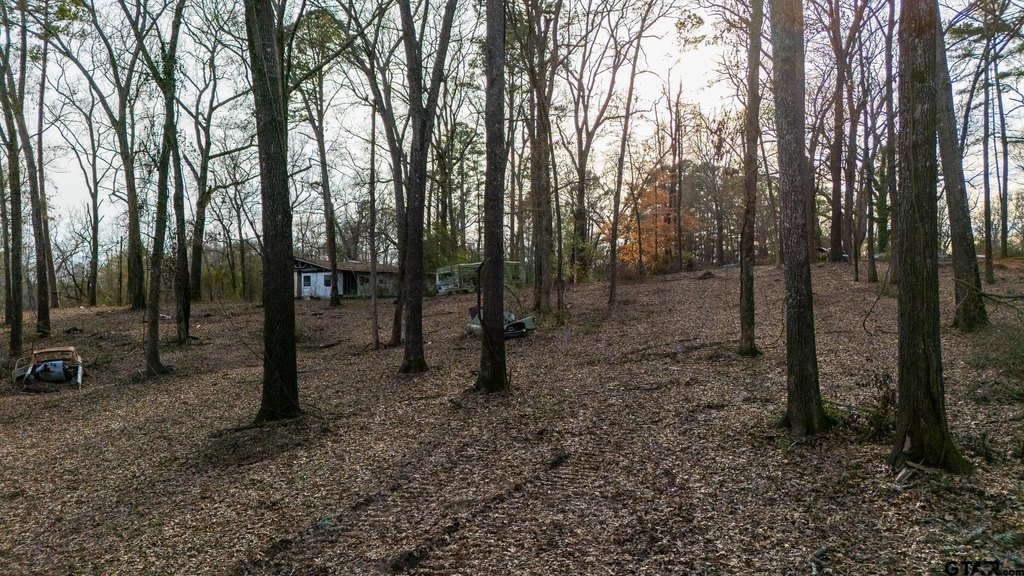 Picture 16