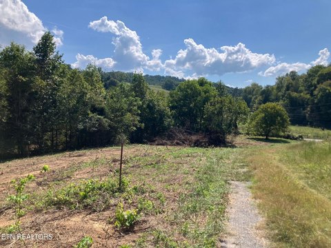 Lots & Acreage, Maynardville, TN