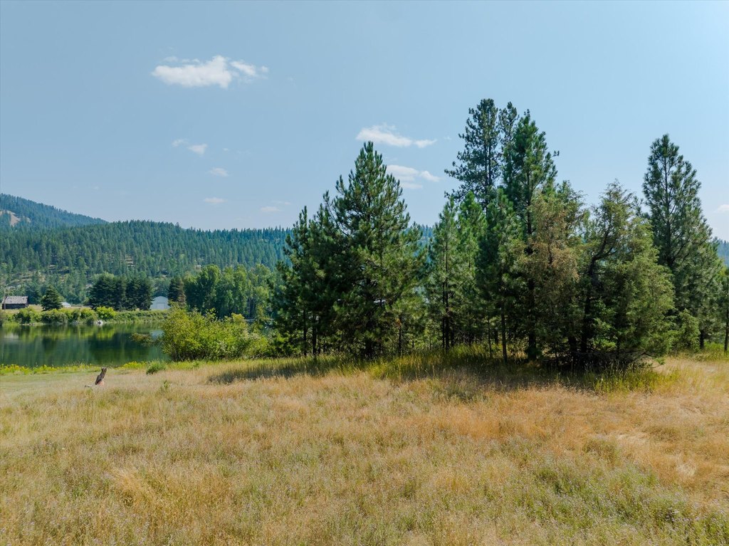Picture 22