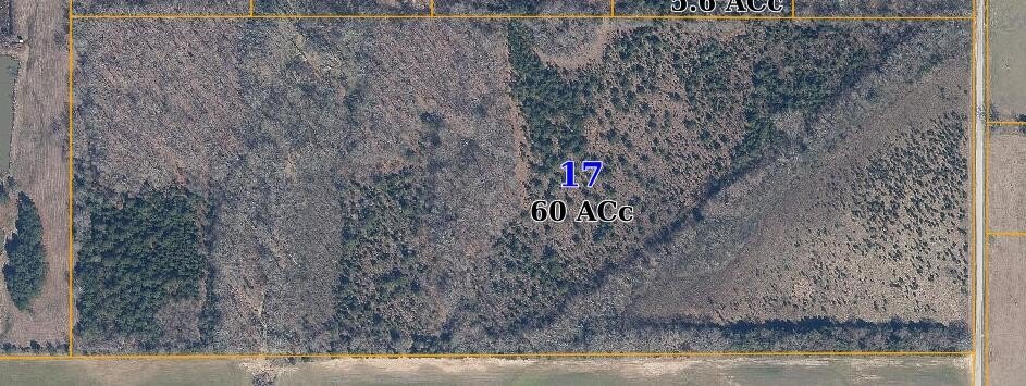 Nettleton, MS Land Opportunity