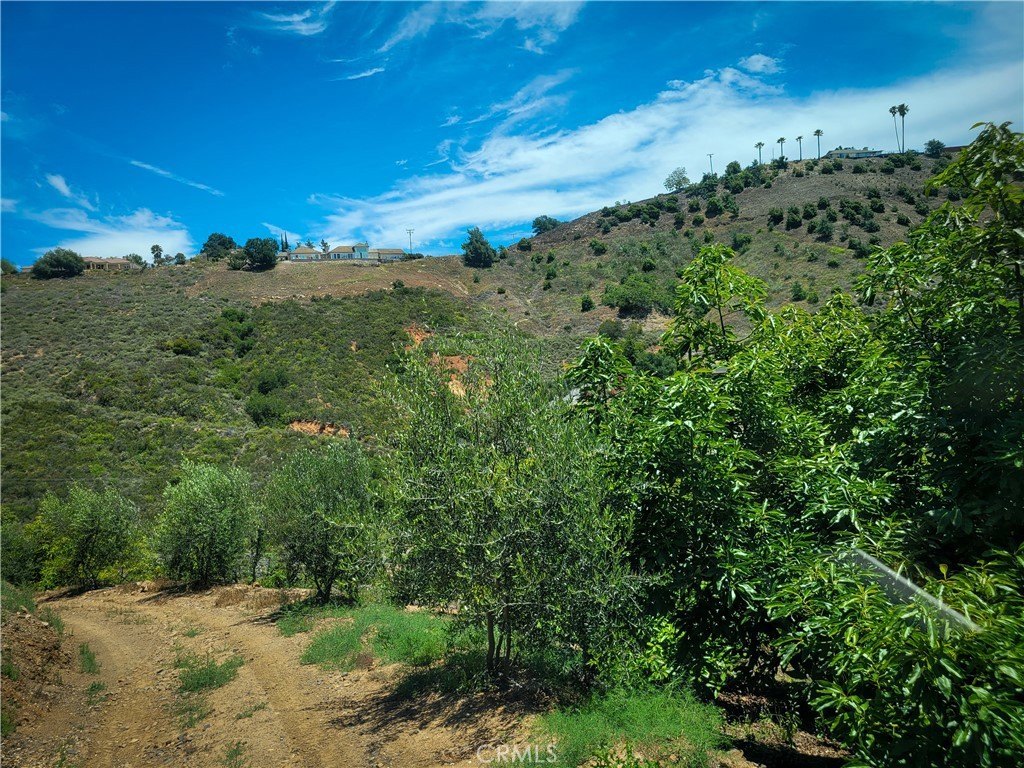 Picture 39
