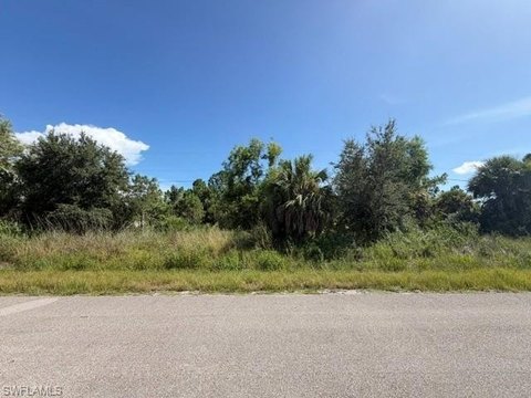 Land, NAPLES, FL