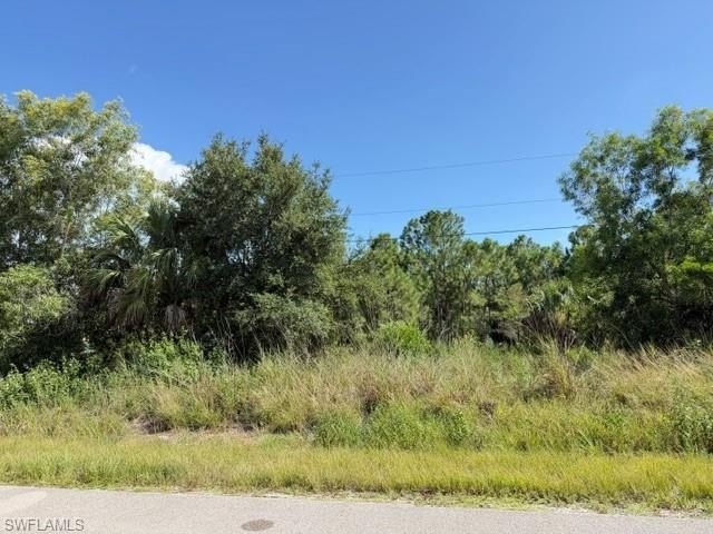 Picture 5