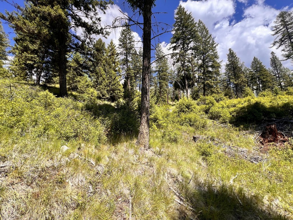 Picture 16
