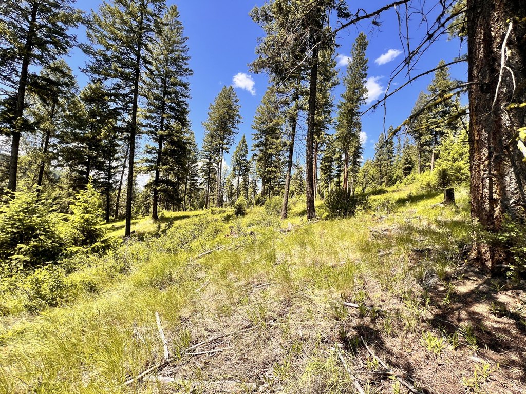 Picture 19