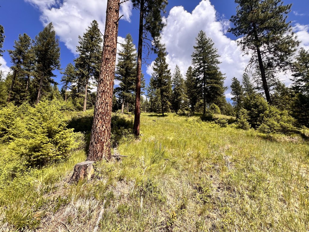 Picture 23