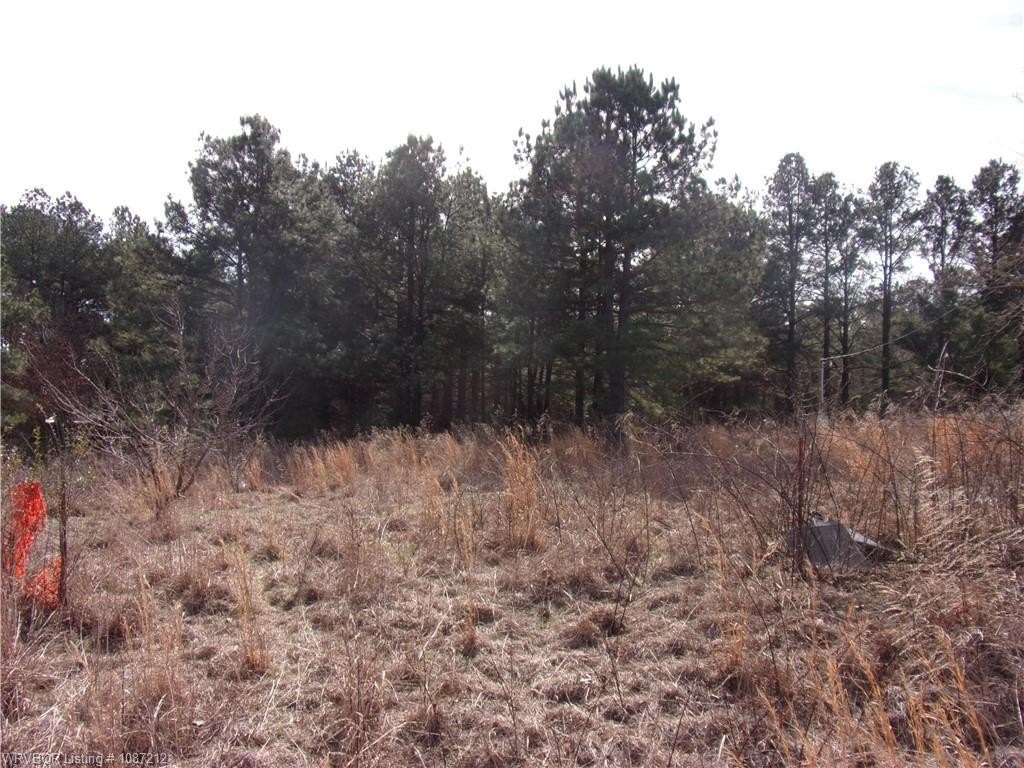 Picture 6