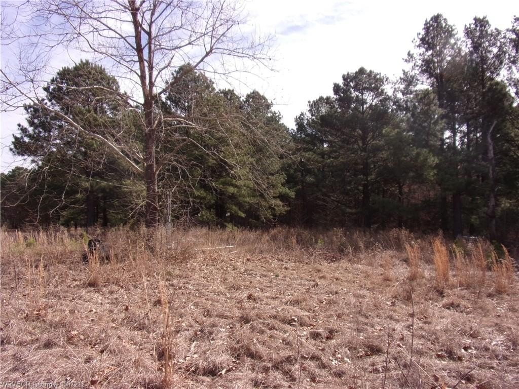 Picture 3